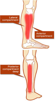 Ipswich Foot & Ankle Clinic